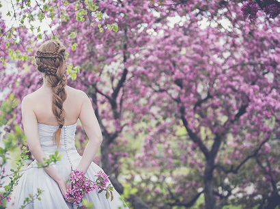 こちらの写真は表示できません