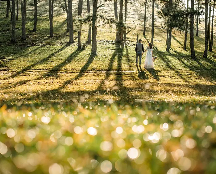 こちらの写真は表示できません